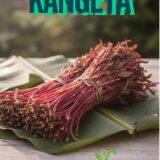 Miraa, Kangeta, Mrefu, Kifagio
