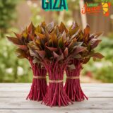 Miraa, Kisa (Grade1)